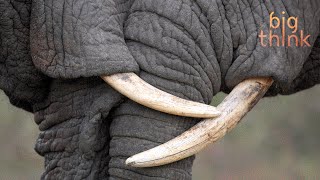 What Tibet Can Teach the West About Self-Worth