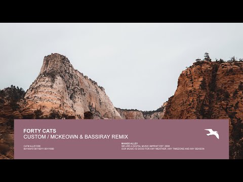 FORTY CATS Custom (McKeown & Bassiray Remix)