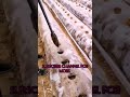 Six Agriculture Farming Equipment Farming New Creative Technologies And Tools Mad In Home