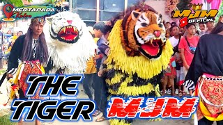 Download lagu Vloggers Aksi The Tigers Burok MJM Live Mertapada 23_10_22 mp3