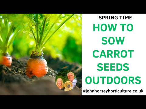 , title : 'HOW TO SOW CARROT SEEDS OUTDOORS'