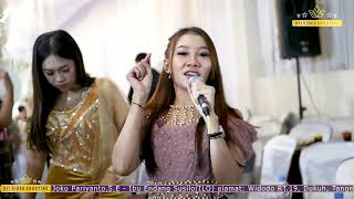 Download lagu MANGKU PUREL NONIK FT ELLENT - ALROSTA DONGKREK - ARS JILID5 mp3