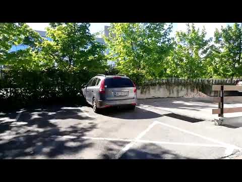 Hoja do ptičje hišice in okoli nje