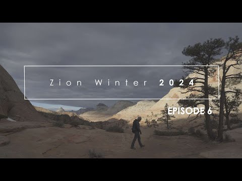 Photographing Zion, Winter 2024: Episode 6
