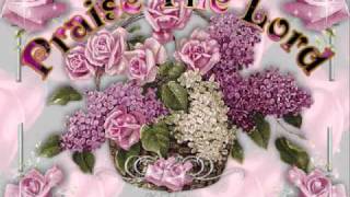 I FOUND MY JESUS AND HE WASN&#39;T EVEN LOST DEDICATED TO VIV062540.wmv