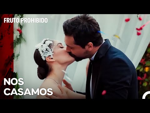 Alihan Y Zeynep Se Casaron - Fruto Prohibido Capitulo 116