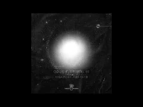 Codex Spiralis - Decoding Reality (vs FishEye)