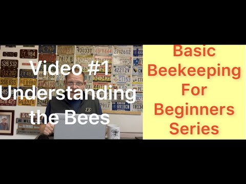 Basic Beekeeping for Beginners Series - Understanding the Bees - Bee Basics - Video #1