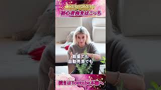 【FX】EAの種類を徹底解説！初心者におすすめは？