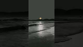 Download lagu soft lofi music।। calm music/ringtone #shots #music #ringtone #status mp3 Download lagu soft lofi music।। calm music/ringtone #shots #music #ringtone #status mp3