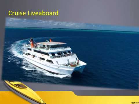 Liveaboard Indonesia