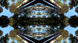 Roy Aquarius - Beneath An Indian Sky (Ganesh On Acid Mix) (Nuw Idol* Remix)