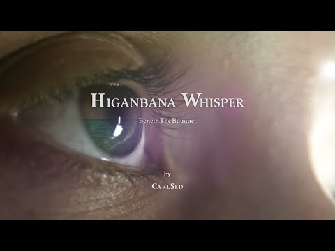 CarlSed- Higanbana Whisper (Official Video)