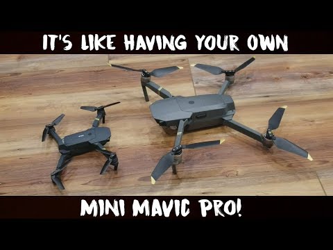 Eachine E58 Toy Drone | The Pint Size Mavic Pro!