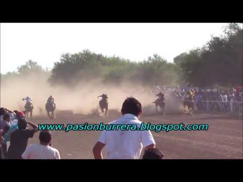 Culpable, Pangare (12-02-17)