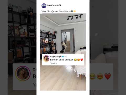 Vera birçoğumuzdan zeki 😂 @heraninbabasi