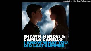 Shawn Mendes &amp; Camila Cabello - I Know What You Did Last Summer [Audio]