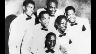 Spaniels Since I Fell for You