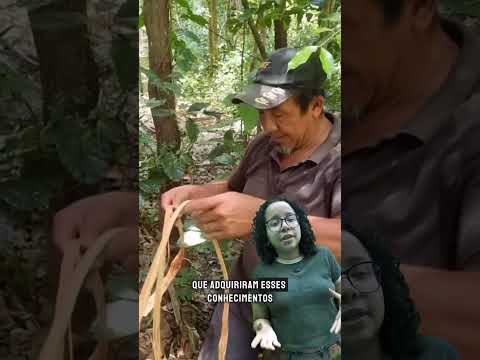 Quem são os mateiros?