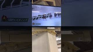 兵庫チャンピオンシップ(Janp2)