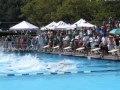 100 y Freestyle- Westchester swim conference