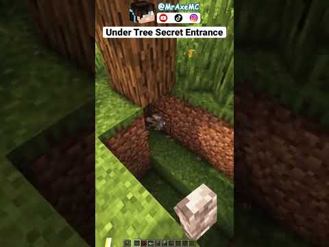 Under Tree Secret Entrance in Minecraft