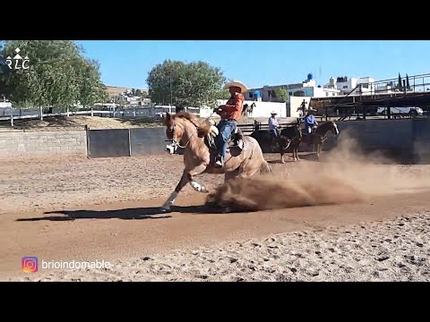 E3P4 - Nuevos Talentos En Cala