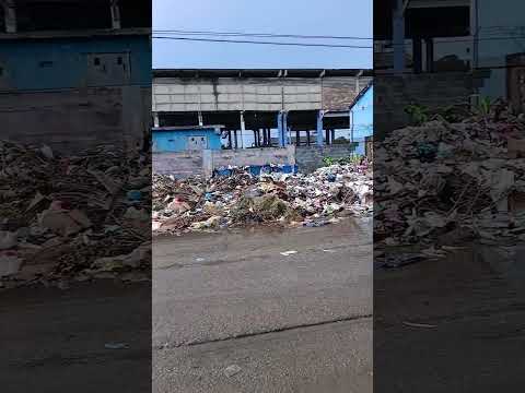 CUBANA DENUNCIA BASURERO EN ABEL SANTAMARÍA BOYEROS HABANA CUBA QUE TIENE A LOS VECINOS ENFERMOS