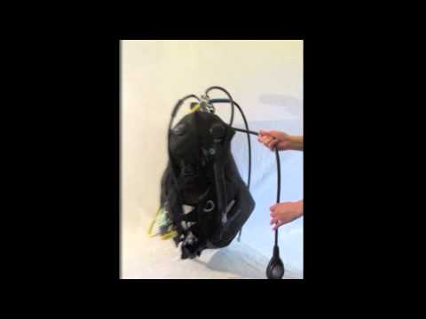 How to set up scuba diving equipment