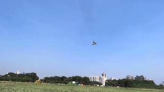 Black Arrow STD in Low winds.