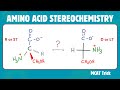 Amino Acid Stereochemistry R S Vs D L