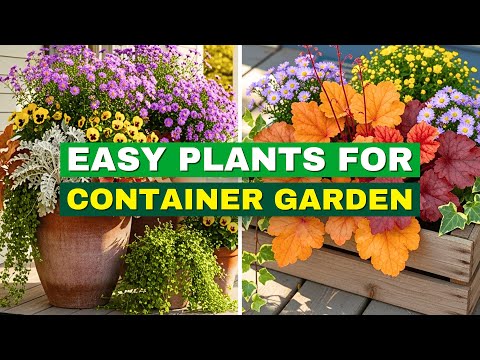 5 Easy Fall Plants for a BEAUTIFUL Porch Container Garden