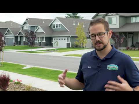 THE PROBLEM WITH NEW SOD | Bestway Inc.