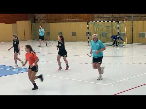 21.01.23 HVB-Pokal-Achtelfinale Frauen Berliner TSC II-SG OSF Berlin Livestream