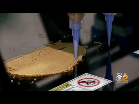 3D Printed Steaks in Europe