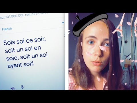 French google translate meme
