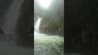 preview picture of video 'Lata Berembun, Ulu Cheka, Jerantut - Cliff Jumping'