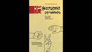 Пересказ и идея книги: (Не)совершенная случайность
