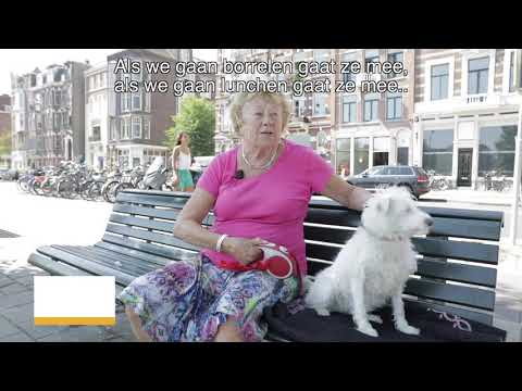 , title : 'Stichting OOPOEH: waarom een hond uit lenen meerdere doelen dient'