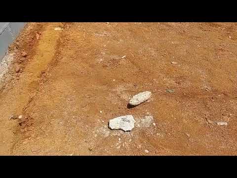 polawa thalimen labena wadi/awasi