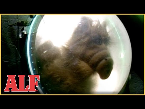 ALF's Crash Landing from Episode 1