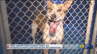 Bakersfield Animal Care Center to host free pet adoption event