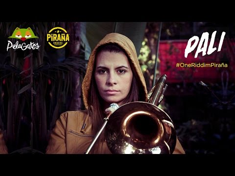 Pali - One Riddim Piraña 2016 - PelaGatos TV