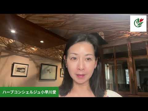 医療ビジネス薬科学科 8月2日はハーブの日記念LIVE