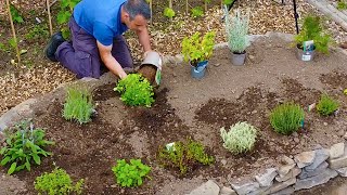 KITCHEN HERB GARDEN (How To Plant & Care For It)
