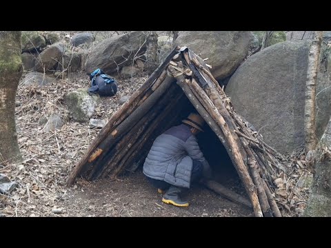 Alone in the Wild | Bushcraft Camping & Survival Shelter Build