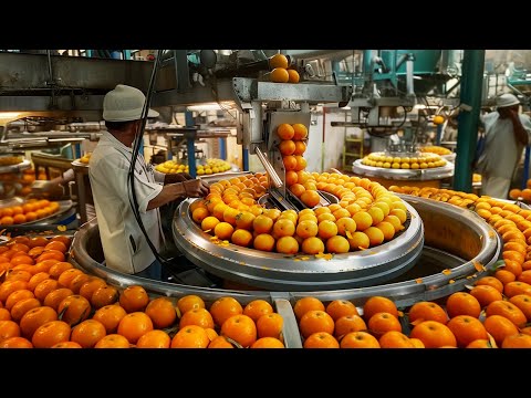 Satisfying Videos of Workers That Work Extremely Well, I Can t Stop Watching It 🇺🇸