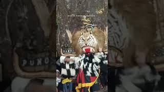 Download lagu #story #reog Putro singo mangku joyo #reog_lumajang #reogindonesia #budayajawa #reogponorogo mp3