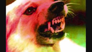 Skinny Puppy-Raw Dog