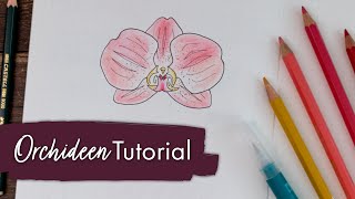 Malen für Anfänger: Orchidee Schritt für Schritt
